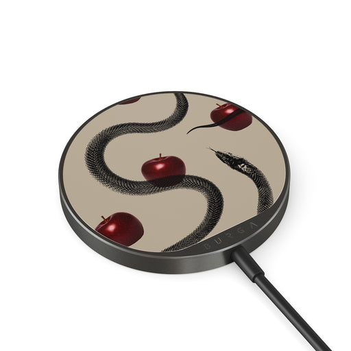 DE_10MC_MAGNETIC_WRLS_CHRG-GUNMETAL